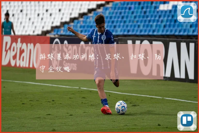 排球基本功训练：发球、扣球、防守全攻略