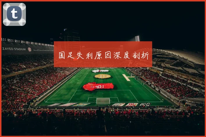 国足失利原因深度剖析
