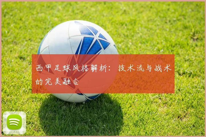 西甲足球风格解析：技术流与战术的完美融合