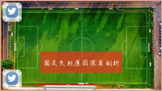 国足失利原因深度剖析